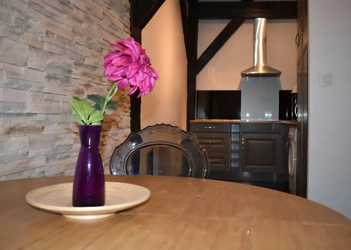 Le Barocco 公寓 科尔马